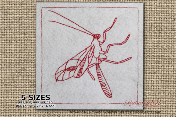 Ichneumonidae Embroidery Review for Personalized Gifts