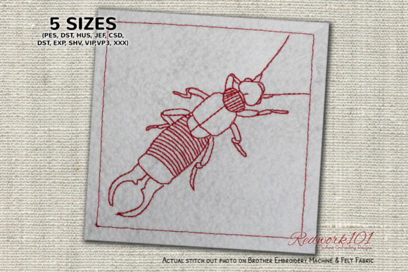 Wild Earwig Lineart Embroidery Review